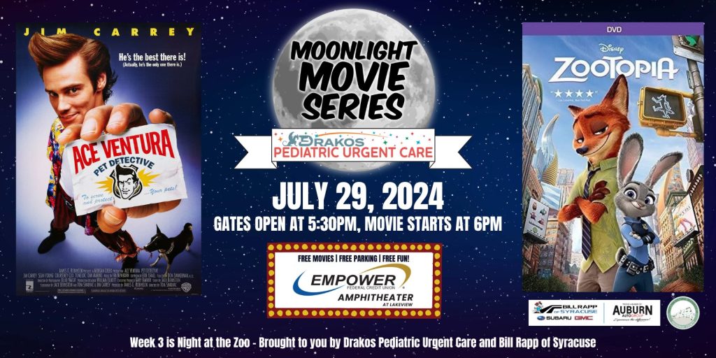Week 3 - Moonlight Movies